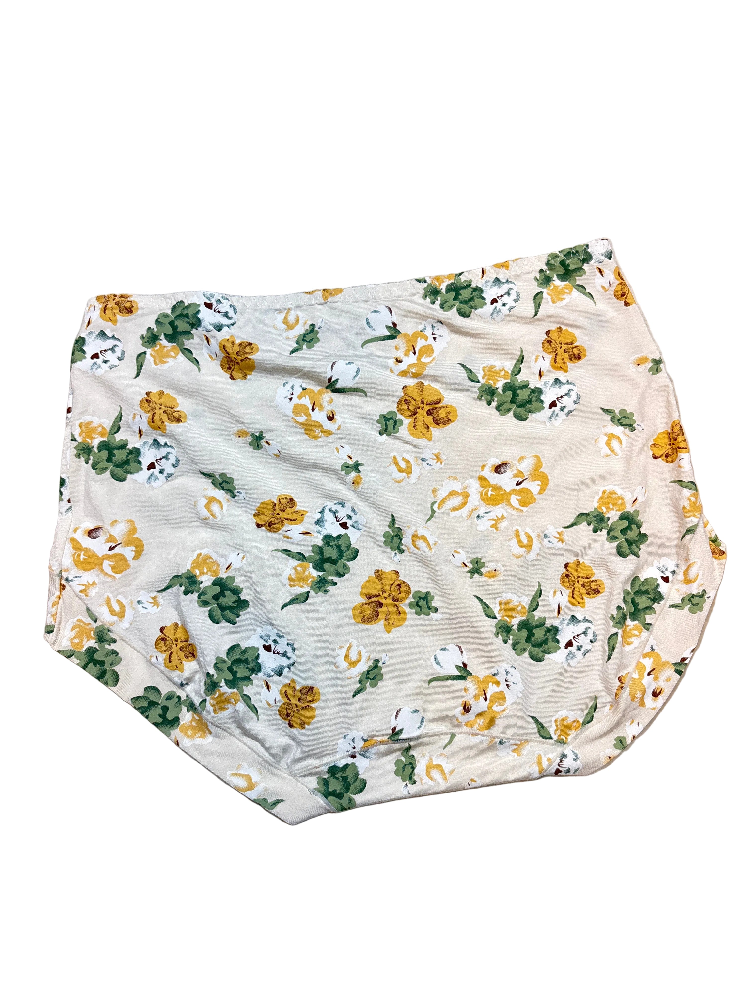 Hipster Panty