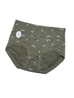 Hipster Panty