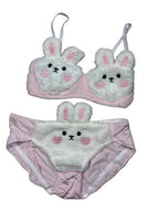 Furry Bra Panty Set
