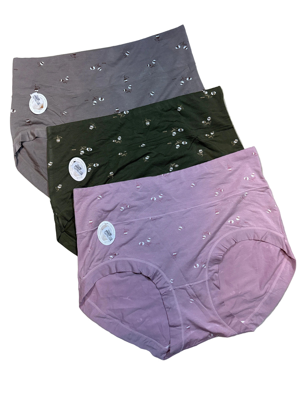 Hipster Panty