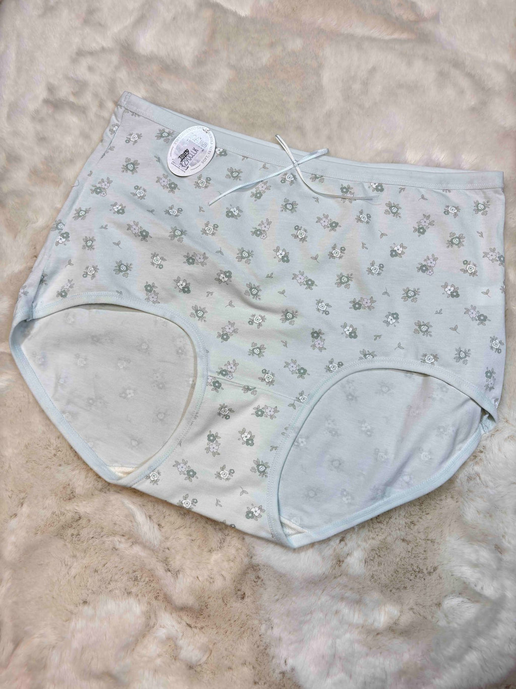 Big Size Hipster Full Coverage High Waist Solid L-2XL 10/02/26