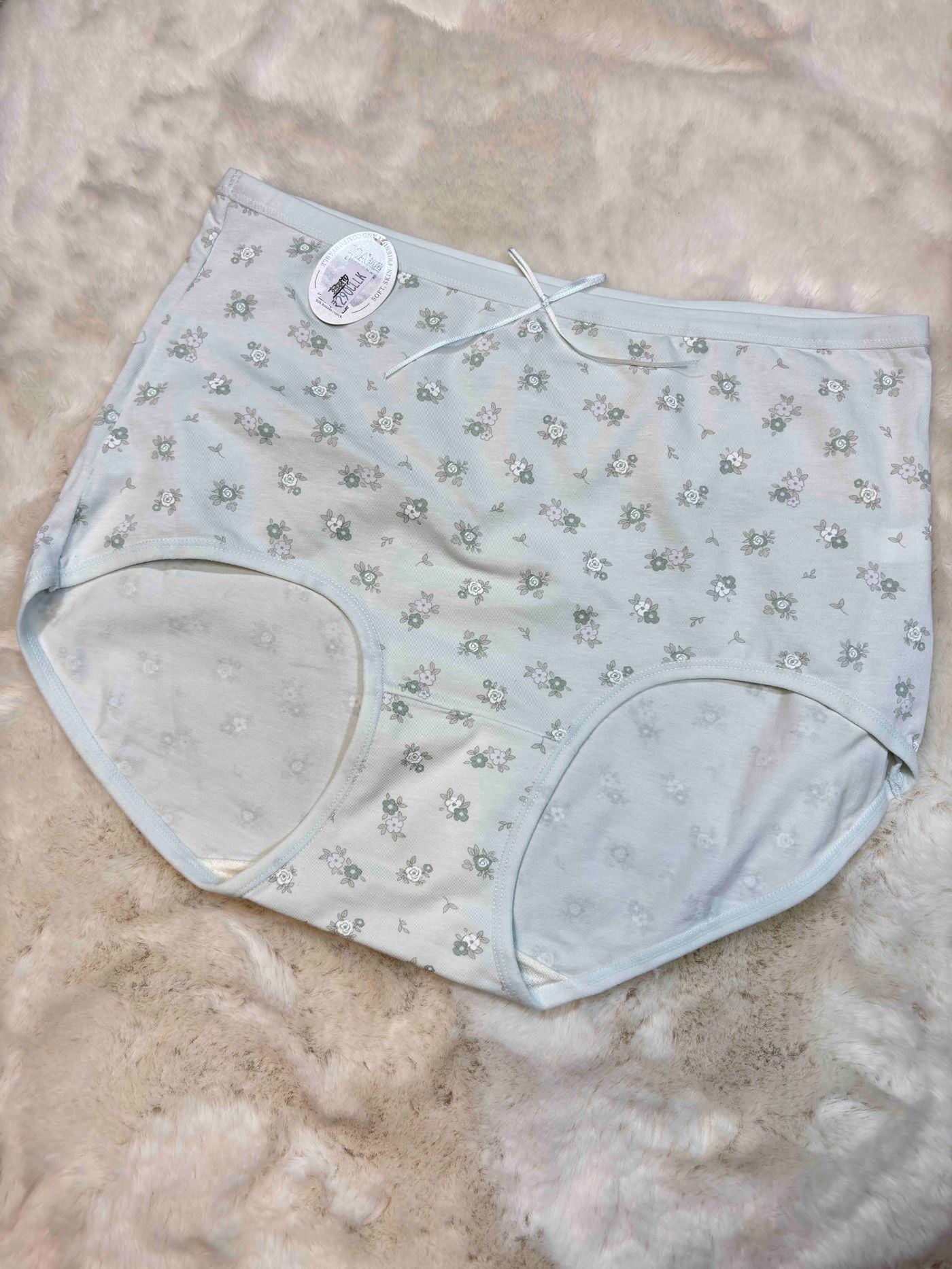 Big Size Hipster Full Coverage High Waist Solid L-2XL 10/02/26