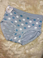 Hipster Full Coverage High Waist Solid XL-3XL 09/02/26