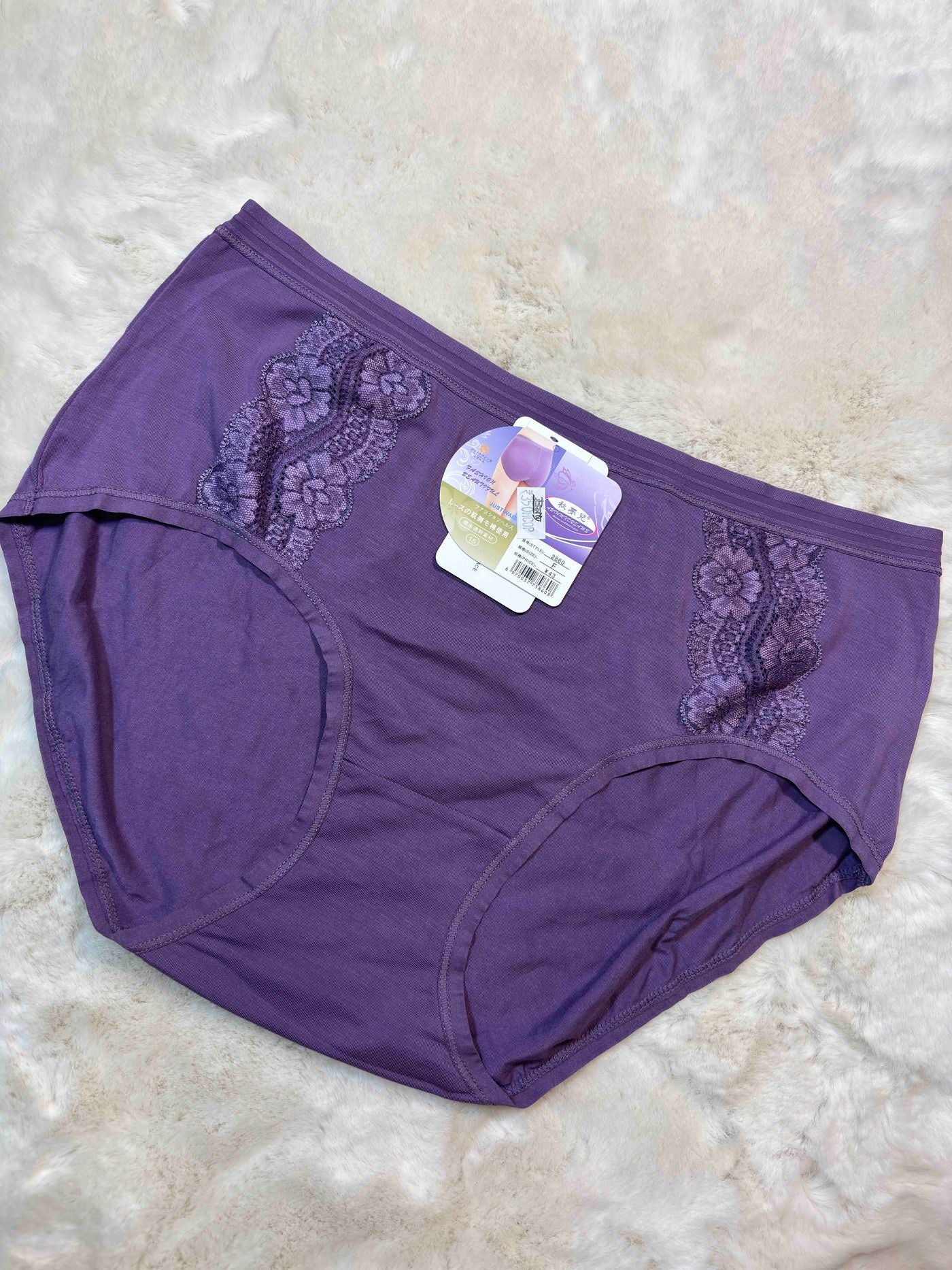 Hipster Full Coverage High Waist Solid S-2XL 23/01/26