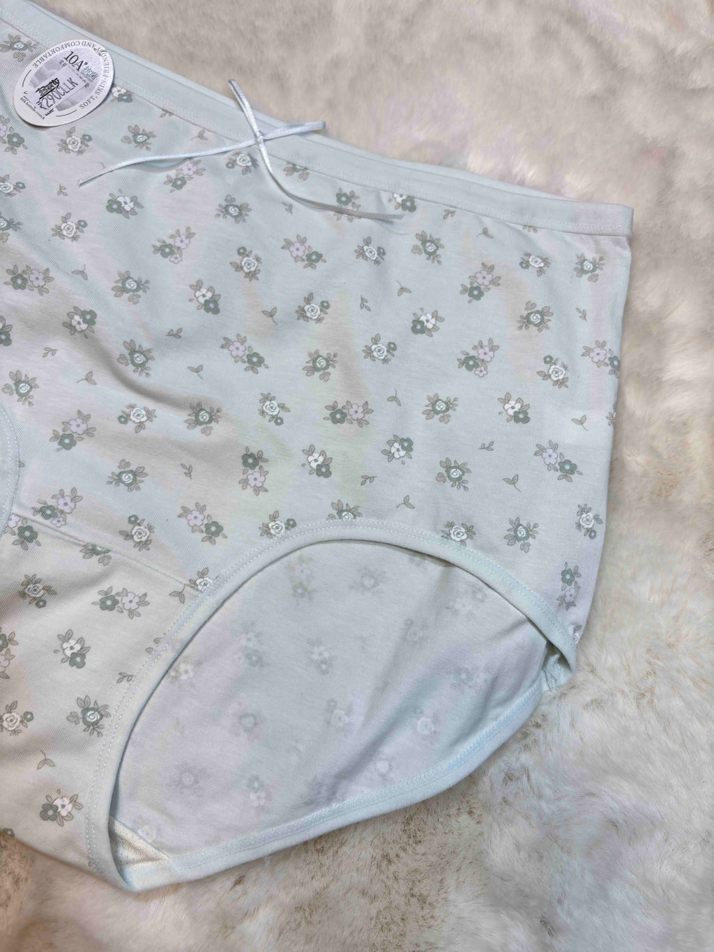 Big Size Hipster Full Coverage High Waist Solid L-2XL 10/02/26