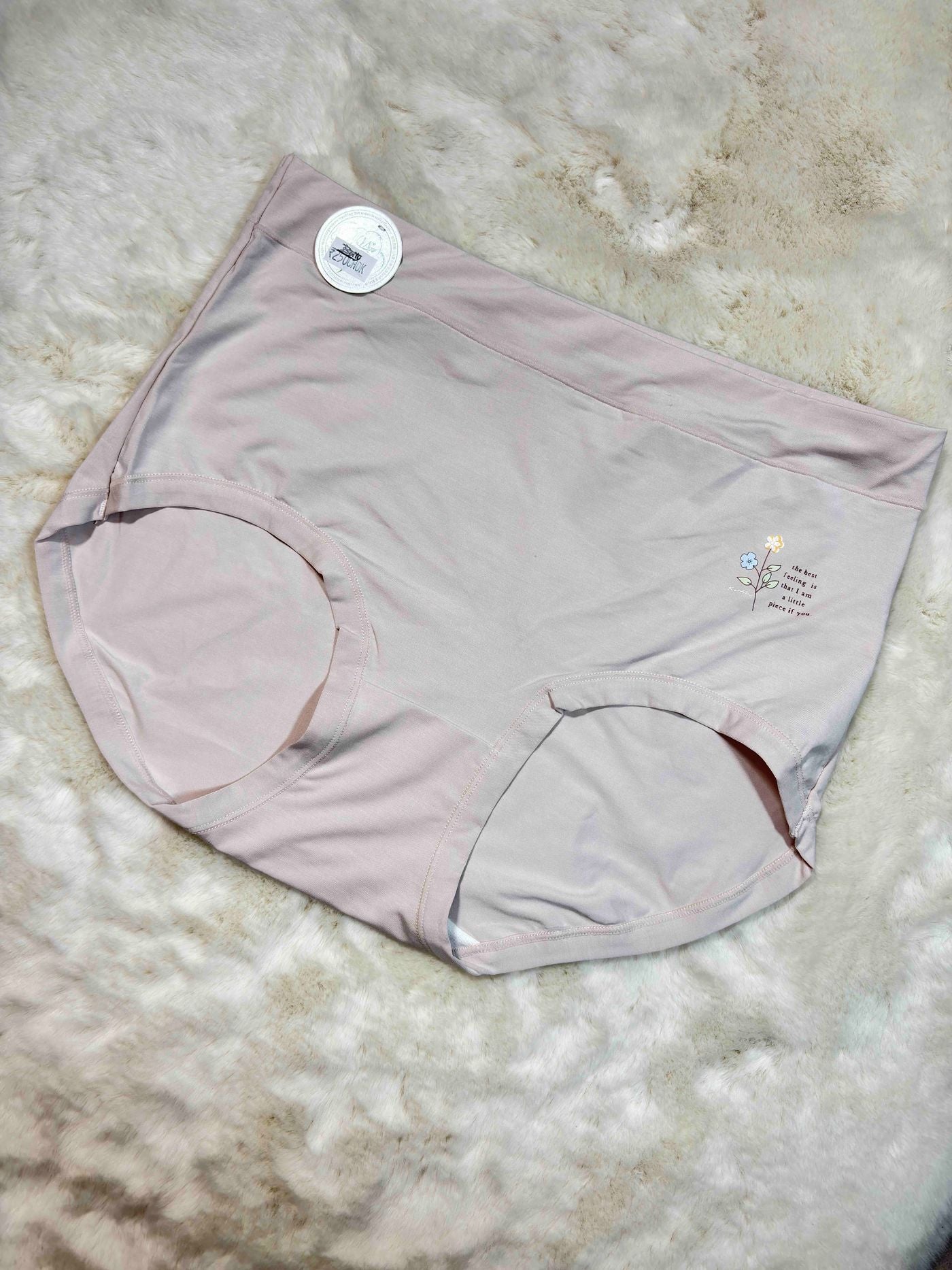 Big Size Full Coverage High Waist Solid XL-3XL 09/02/26