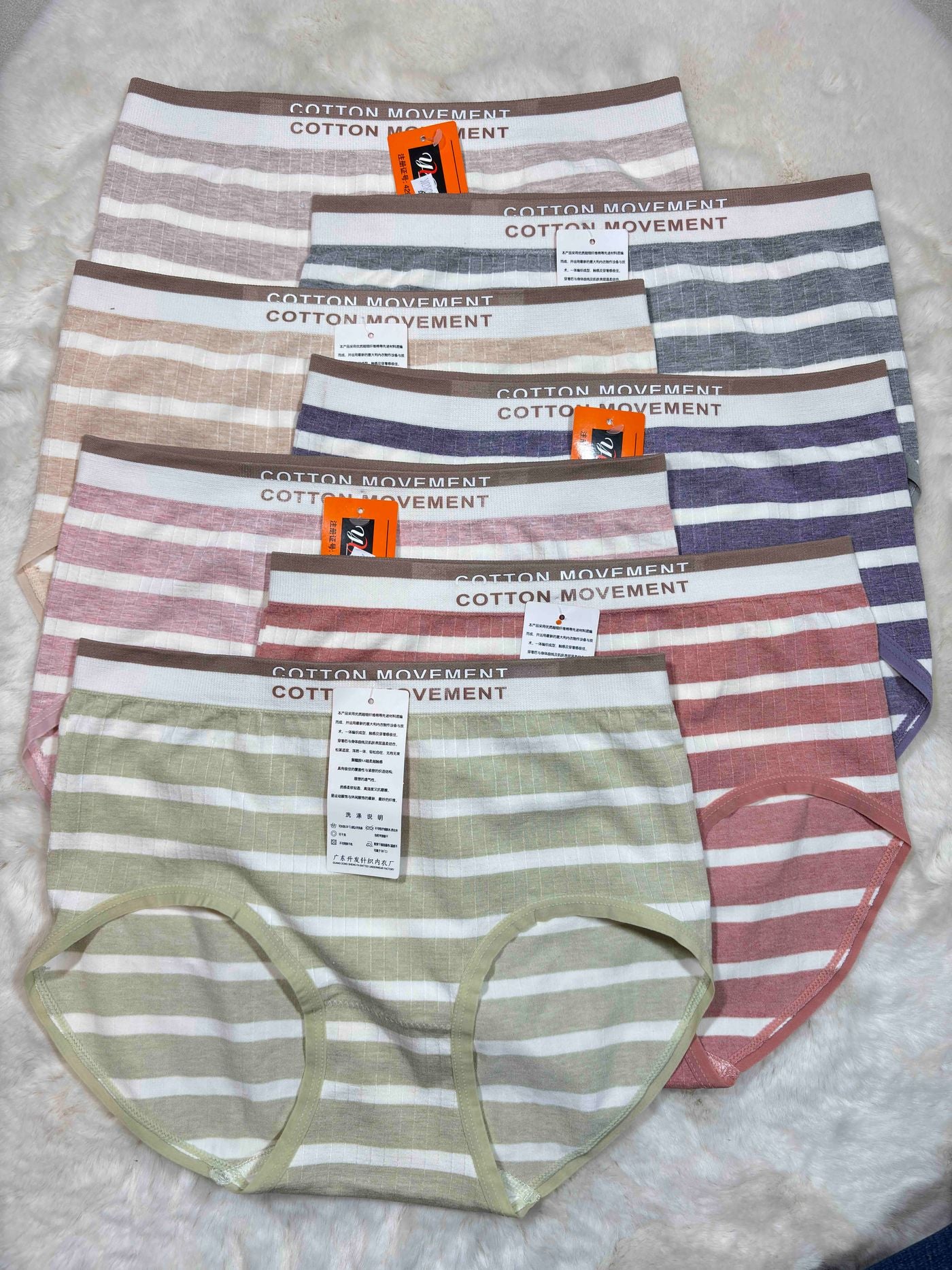 Hipster Full Coverage High Waist Printed S-2XL 23/02/26