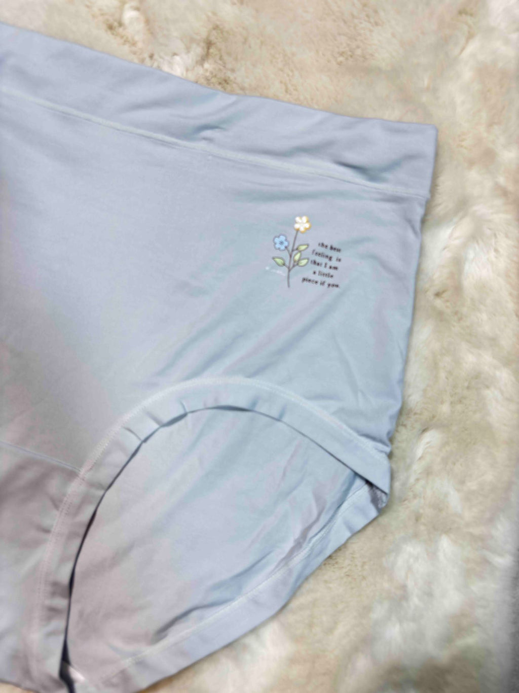 Big Size Full Coverage High Waist Solid XL-3XL 09/02/26