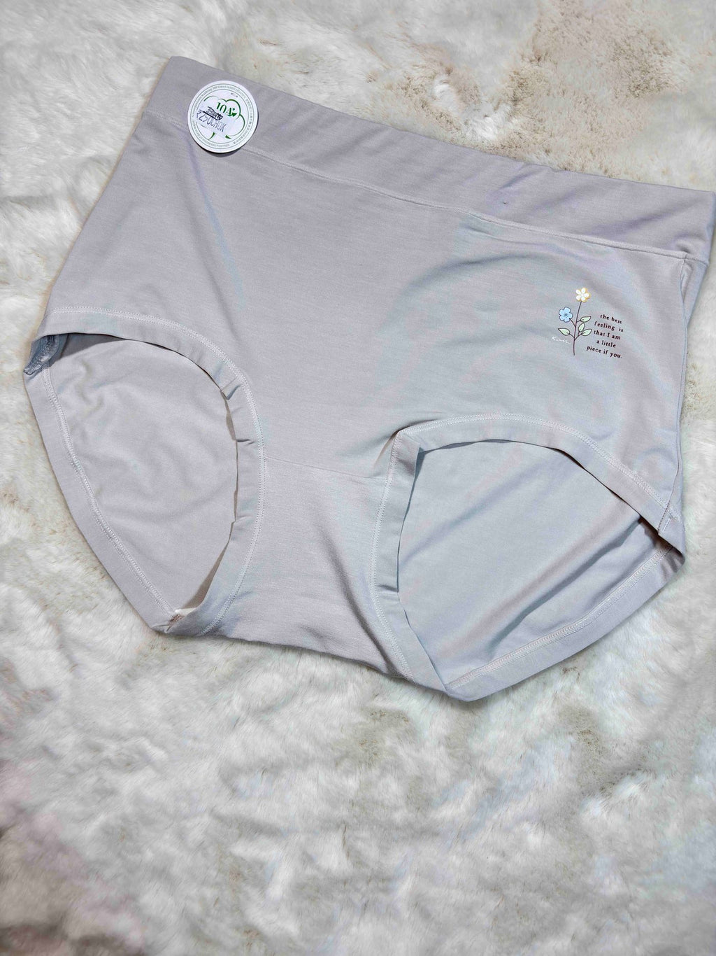 Big Size Full Coverage High Waist Solid XL-3XL 09/02/26