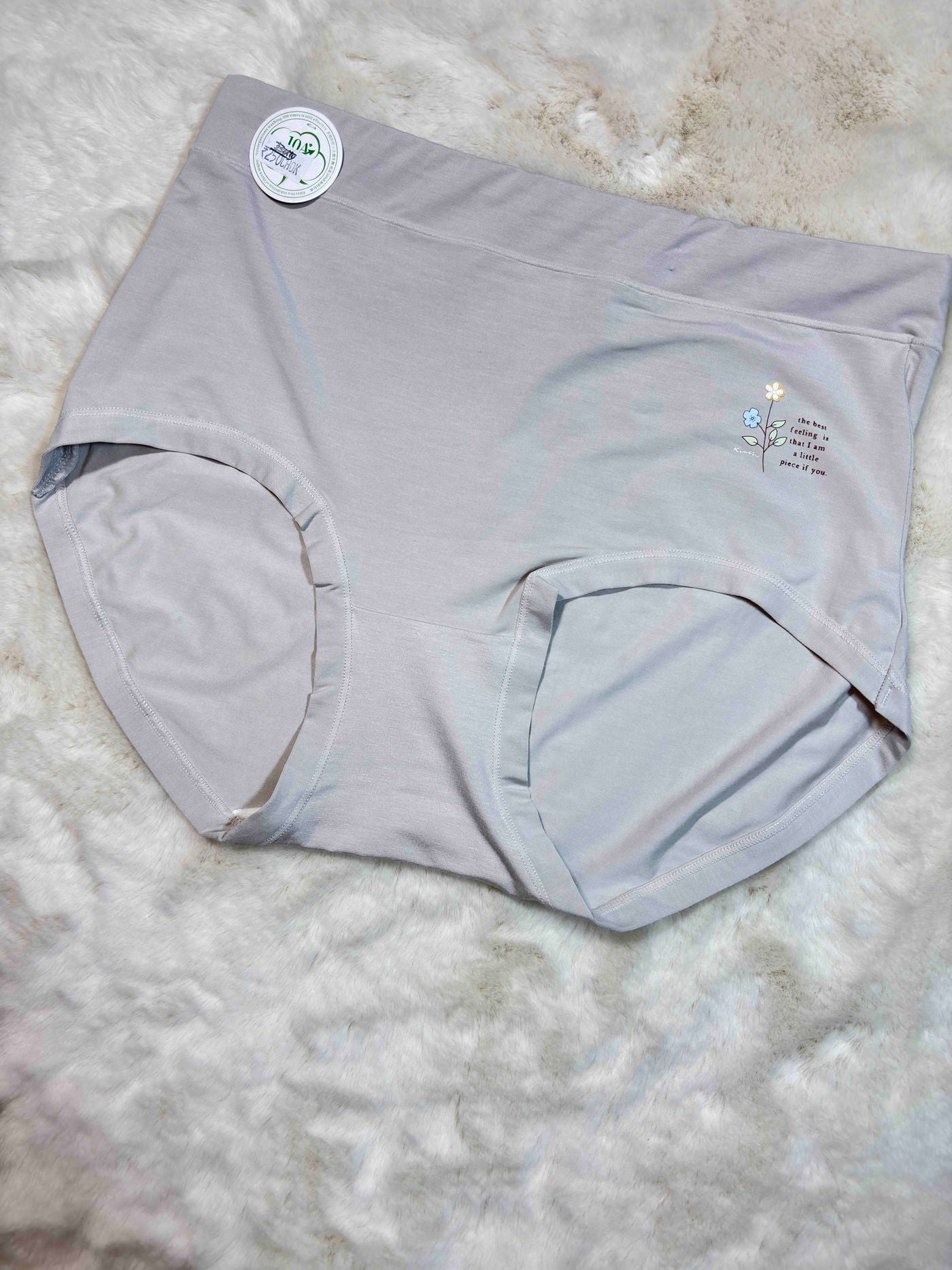 Big Size Full Coverage High Waist Solid XL-3XL 09/02/26