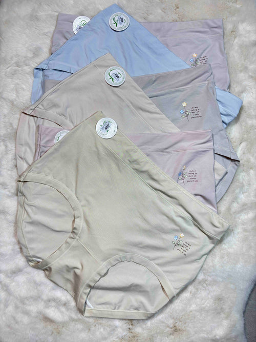 Big Size Full Coverage High Waist Solid XL-3XL 09/02/26