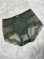 Lace Hipster Full Coverage High Waist Solid S-2XL 28/03/26