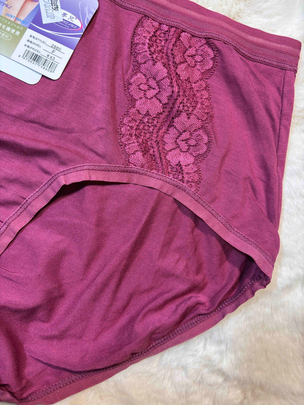 Hipster Full Coverage High Waist Solid S-2XL 23/01/26