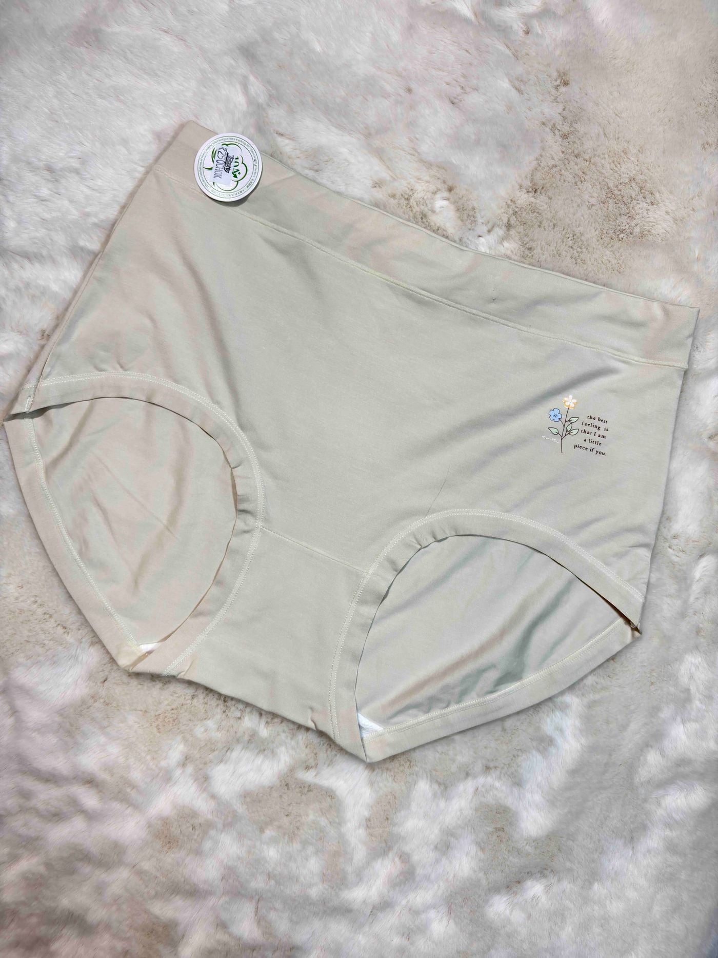 Big Size Full Coverage High Waist Solid XL-3XL 09/02/26