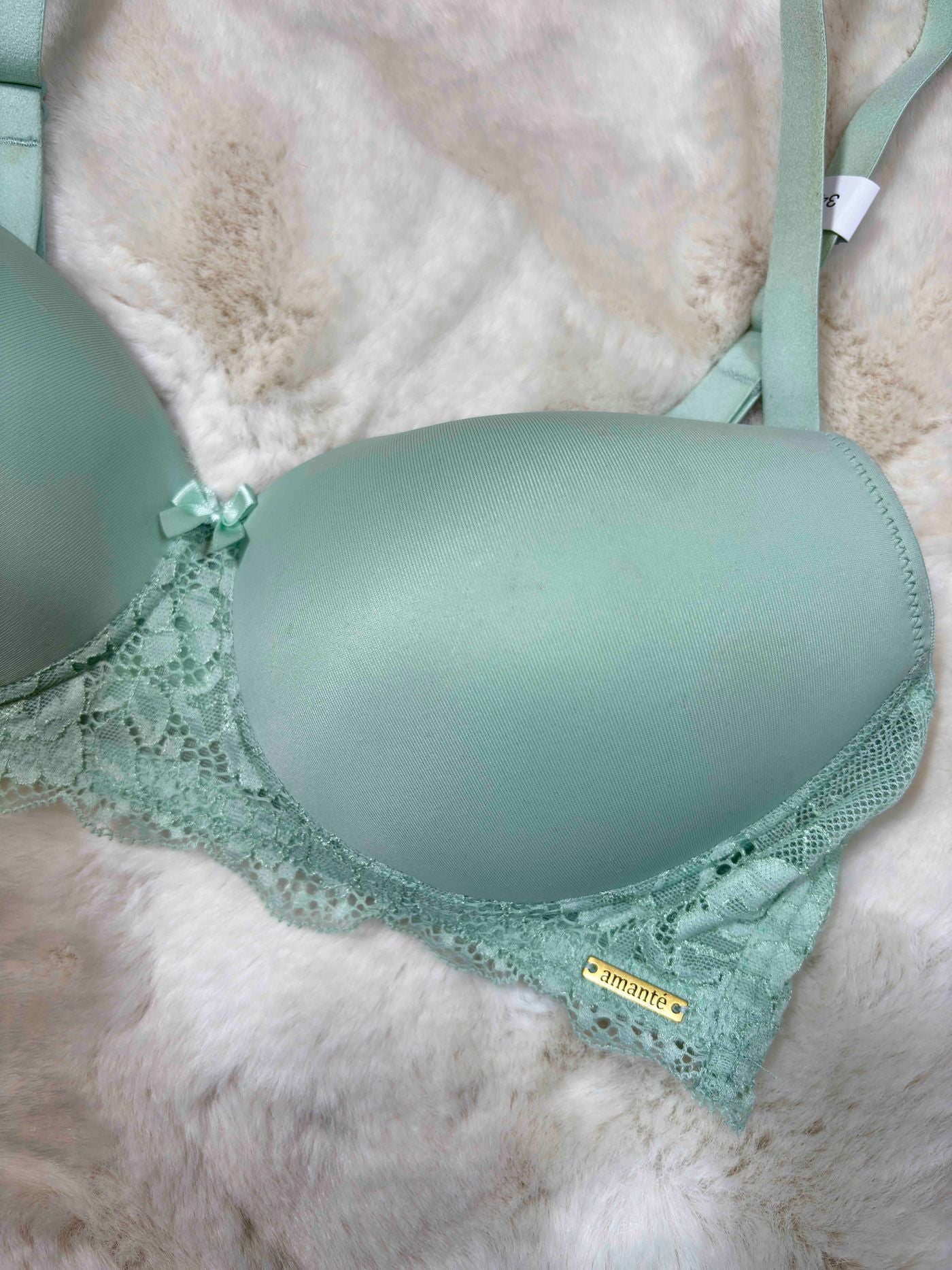 Amante Tshirt Bra Full Coverage Padded Non Wired Solid 32B-38B 24/03/26