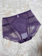 Lace Hipster Full Coverage High Waist Solid S-2XL 28/03/26