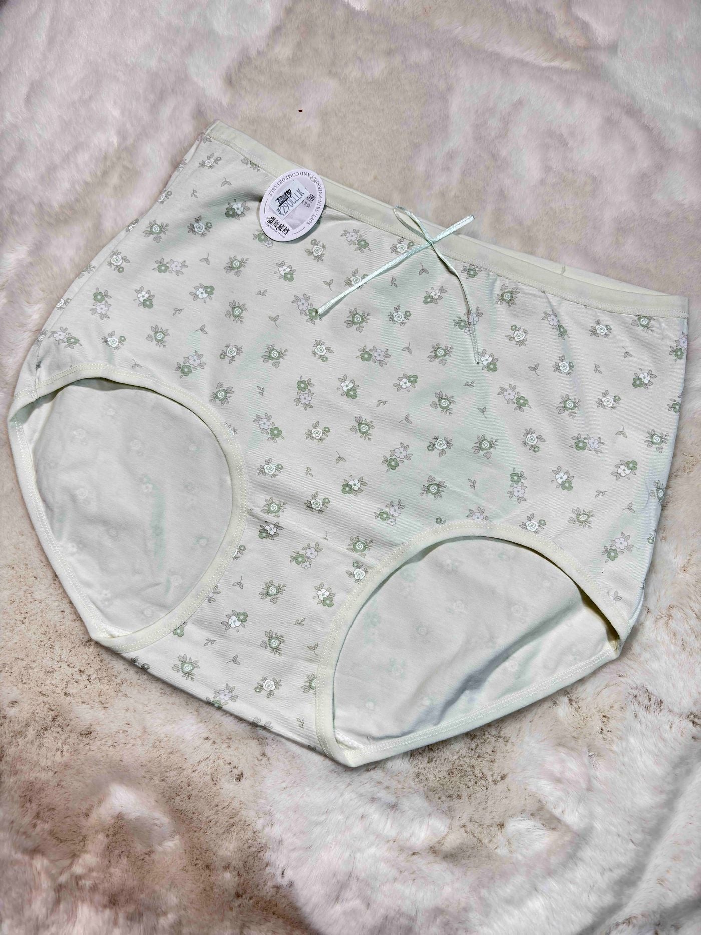 Big Size Hipster Full Coverage High Waist Solid L-2XL 10/02/26