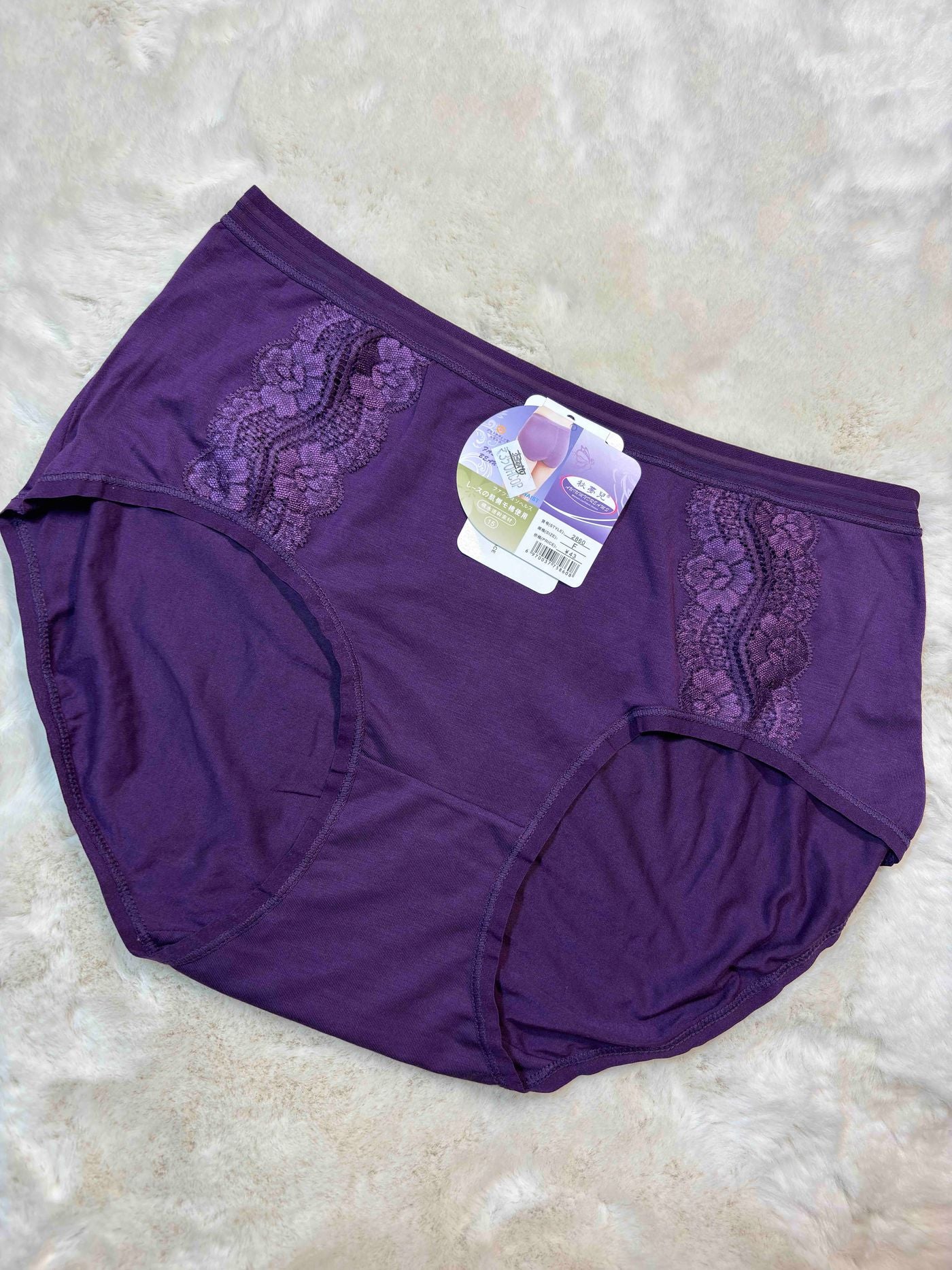 Hipster Full Coverage High Waist Solid S-2XL 23/01/26