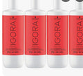 IGORA DEVELOPER