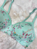 Amante Tshirt Bra Full Coverage Padded Non Wired Printed 32B-38B 24/03/26