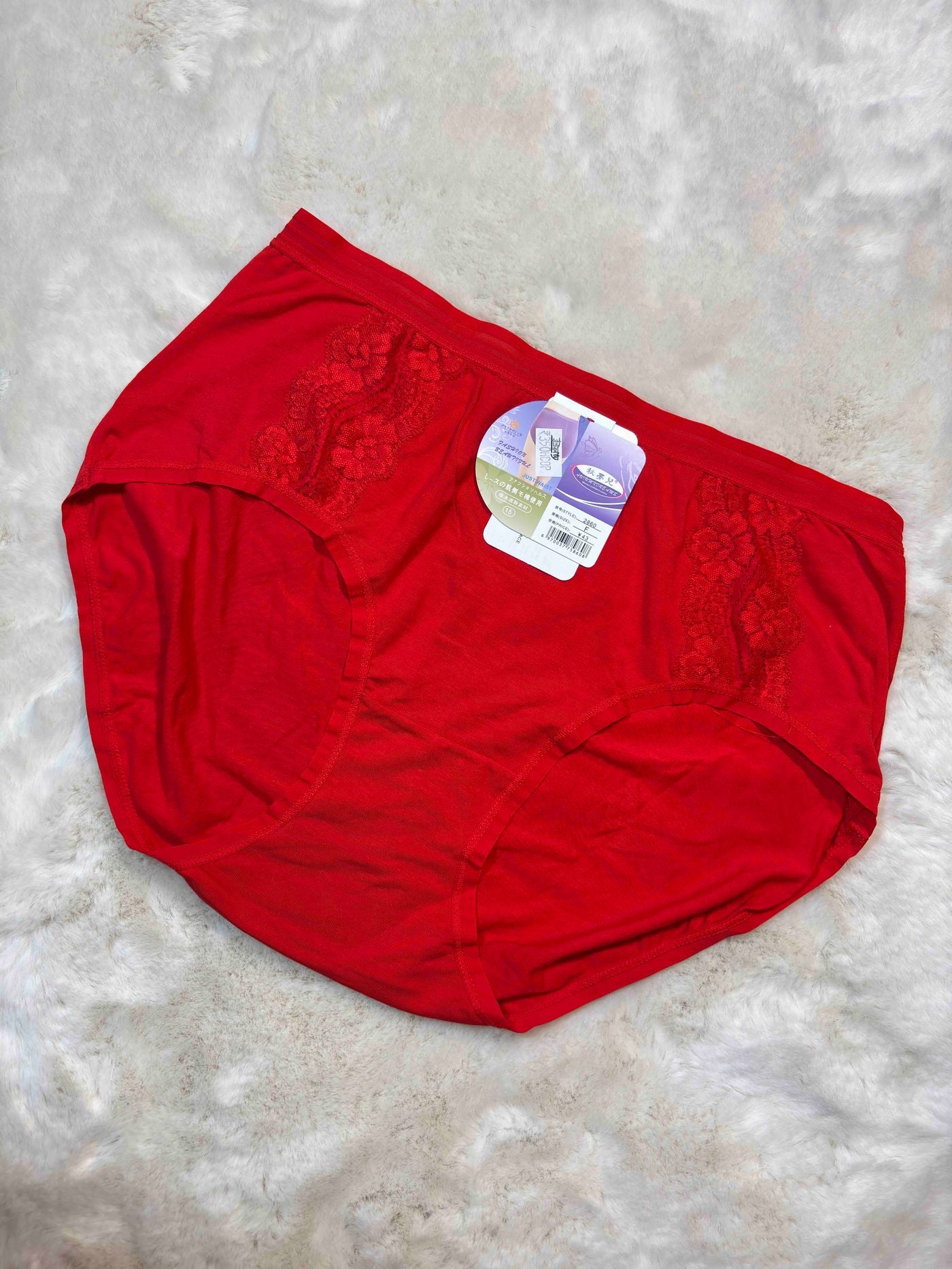 Hipster Full Coverage High Waist Solid S-2XL 23/01/26
