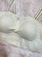 Bralette Full Coverage Padded Solid S-XL 01/03/26