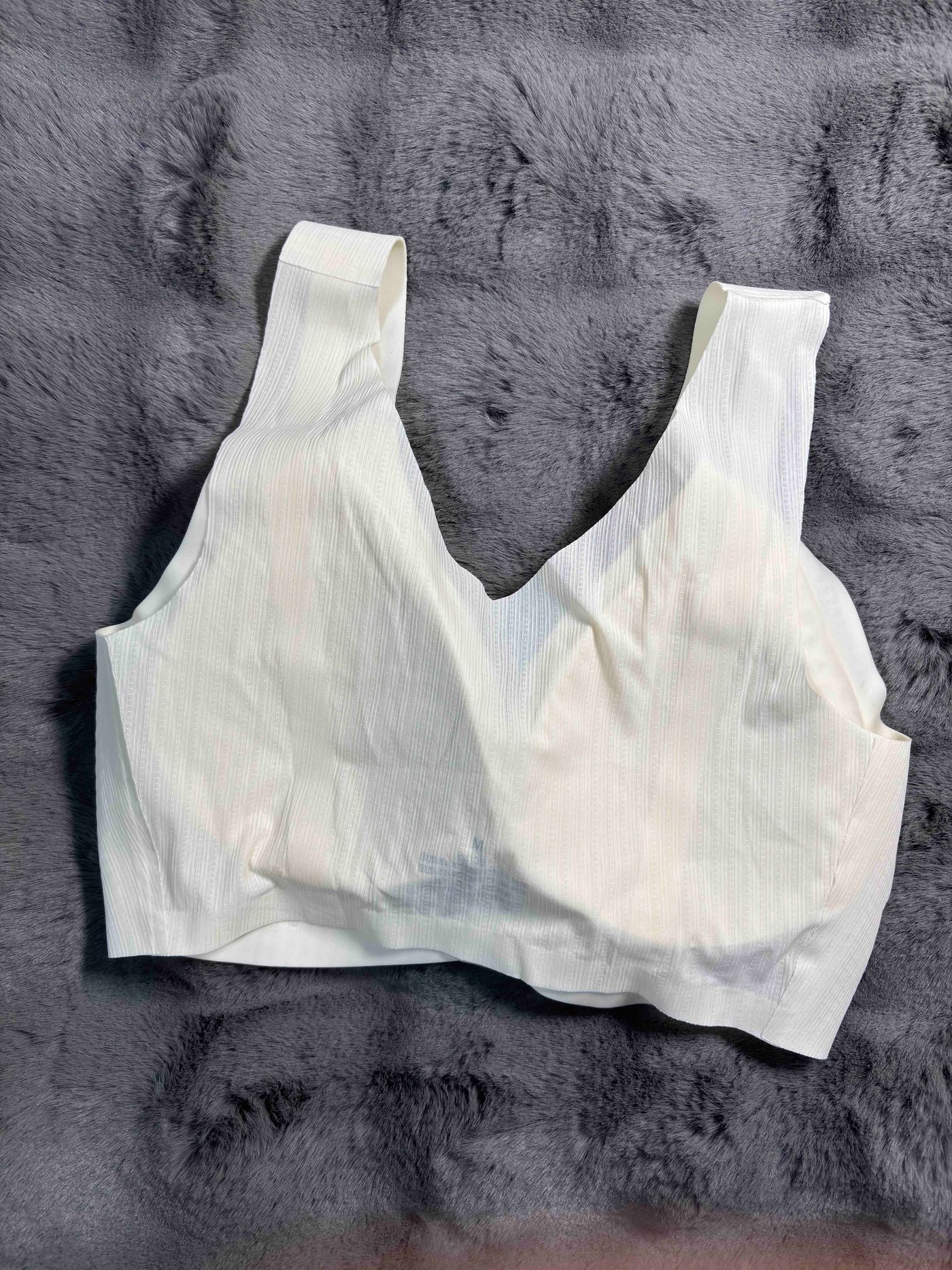 Calni Kean Seamless Light Padded Non Wired High Waist Full Coverage Solid 3831 08/01/26