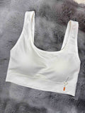 Camisoles Full Coverage Padded Solid Freesize 09/01/26