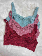 Alies Minimizer Full Coverage Non Padded Non Wired Solid S-3XL 08/02/26
